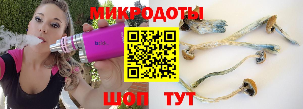 Галлюциногенные грибы Cubensis  Галлюциногенные грибы Psilocybine cubensis  Зеленогорск  дарнет шоп  Вход с VPN 